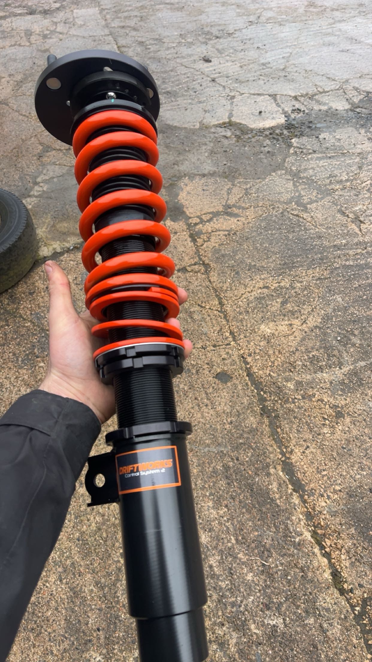 True Rear Coils